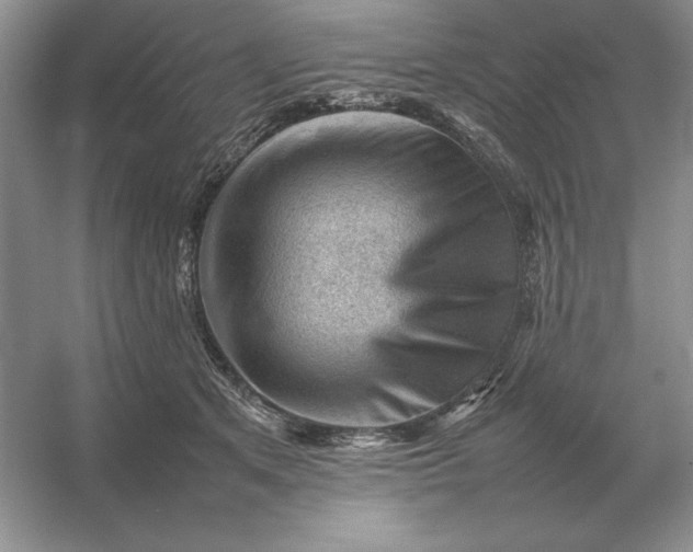 X0000053150513200507251845