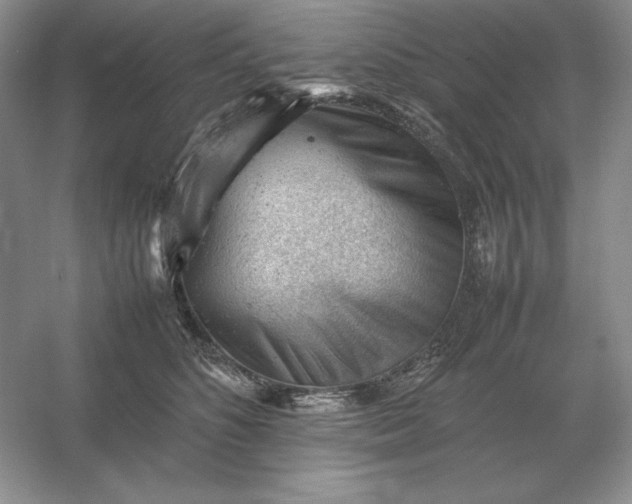 X0000053150516200507251845