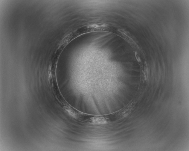 X0000053150520200507251845