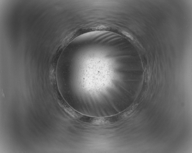 X0000053150521200507251845