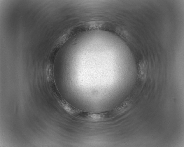 X0000053150522200507251845