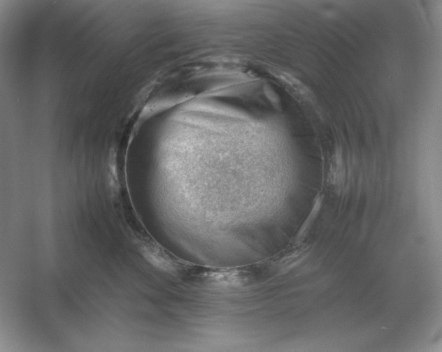 X0000053150524200507251845
