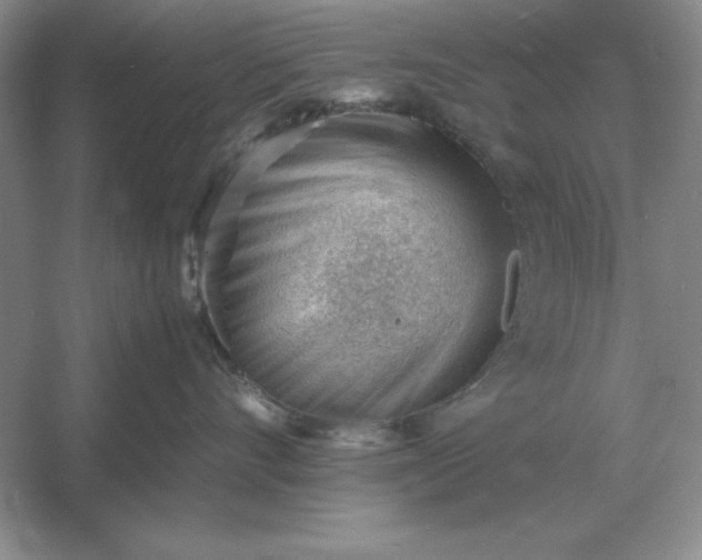 X0000053150528200507251845