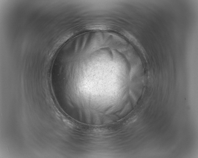X0000053150529200507251844