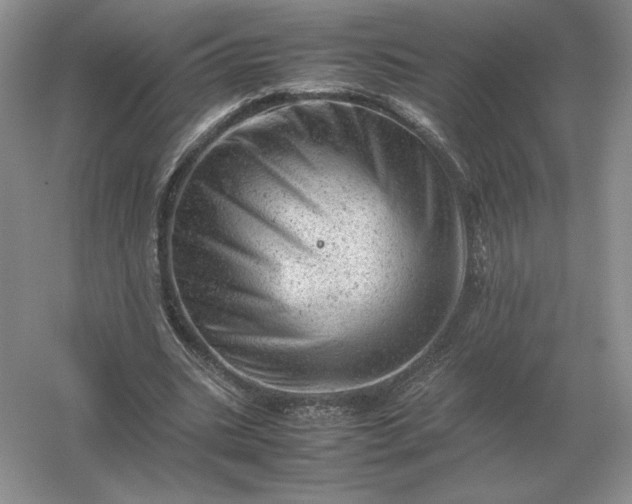 X0000053150535200507251844