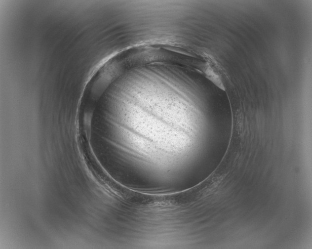 X0000053150536200507251844