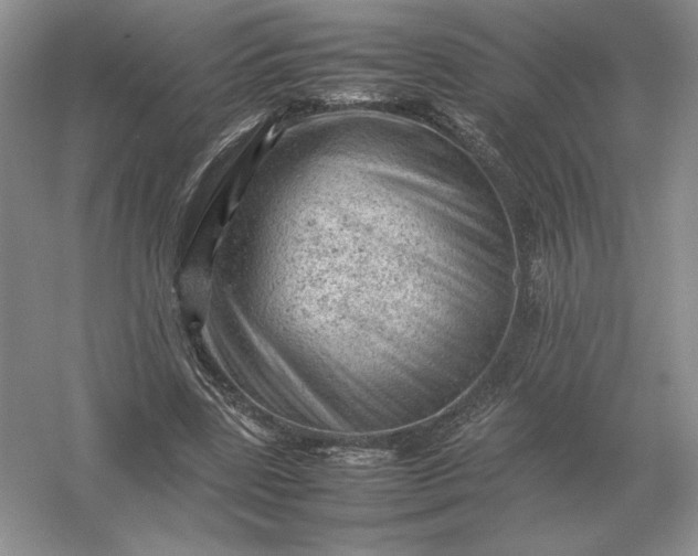 X0000053150539200507251844