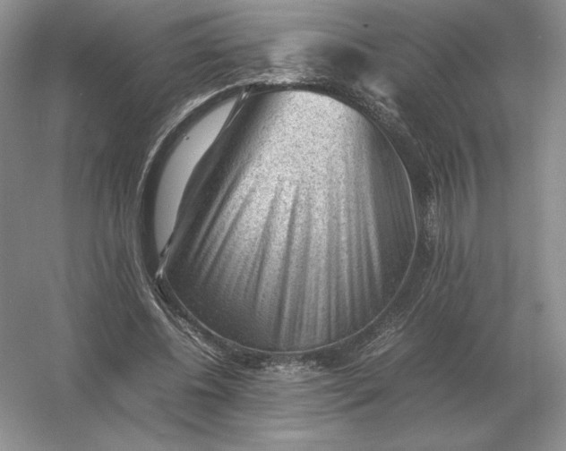 X0000053150540200507251844
