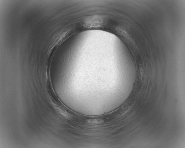 X0000053150541200507251844