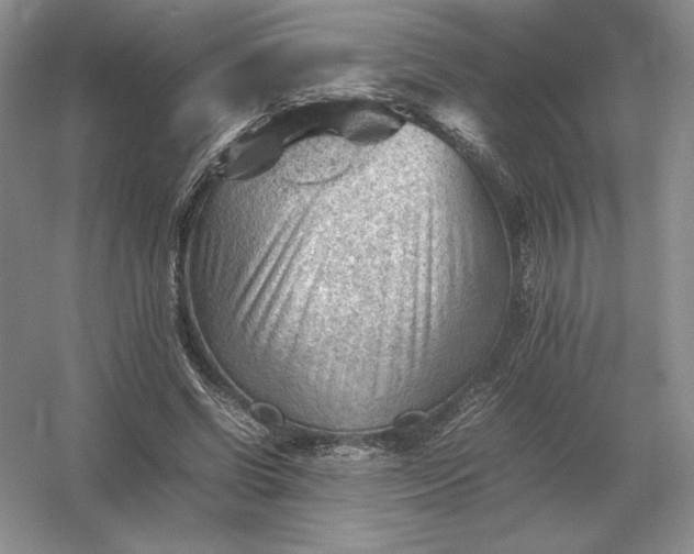 X0000053150542200507251844