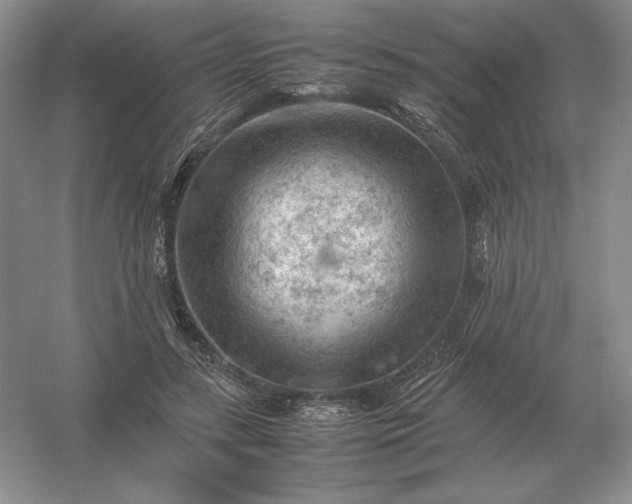 X0000053150547200507251844