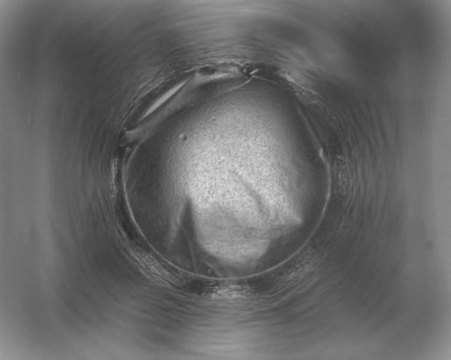 X0000053150550200507251844