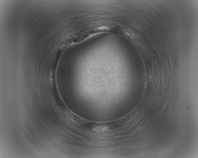 X0000053150551200507251844