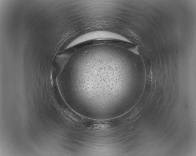 X0000053150552200507251844