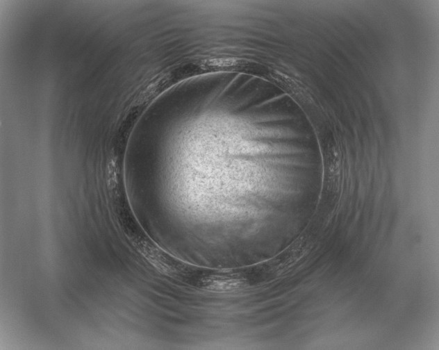 X0000053150555200507251844
