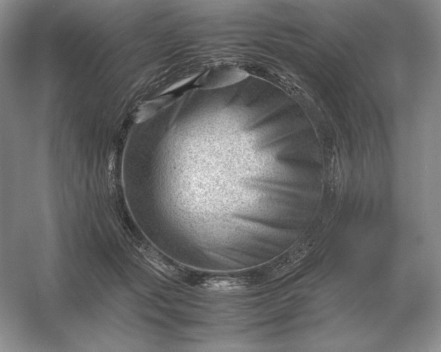 X0000053150557200507251844