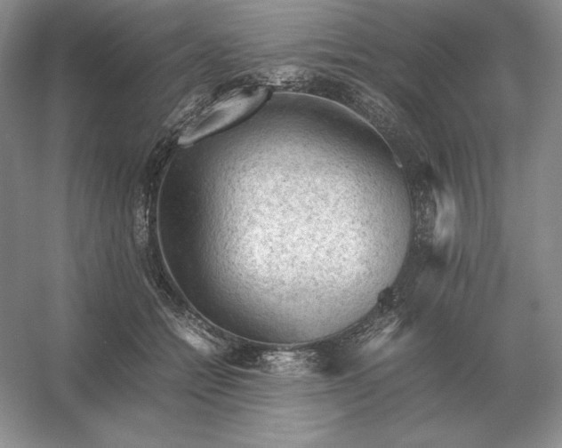 X0000053150558200507251844