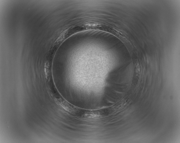 X0000053150559200507251844