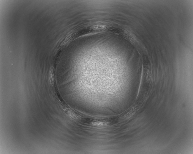 X0000053150561200507251844