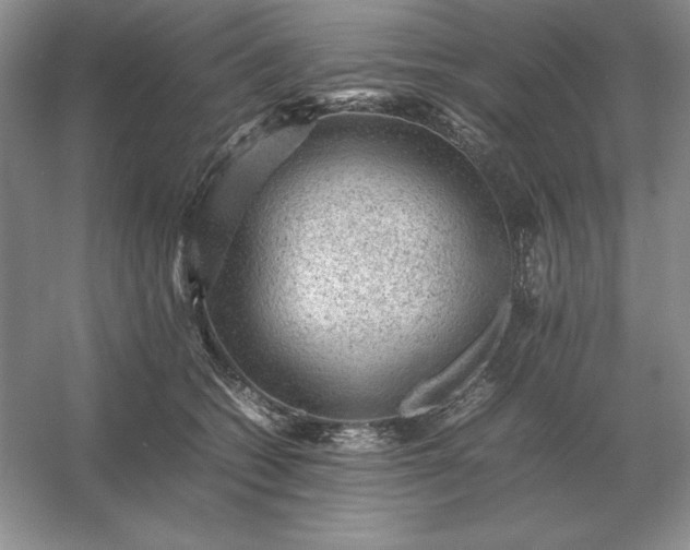 X0000053150562200507251844