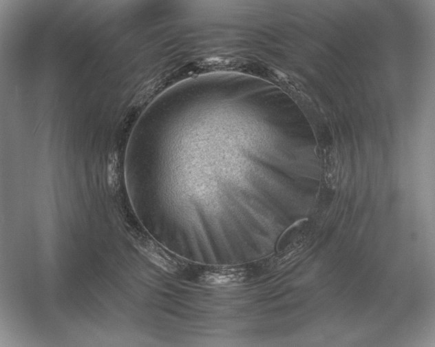 X0000053150563200507251844
