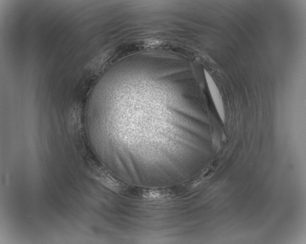 X0000053150565200507251845