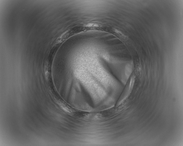 X0000053150566200507251845