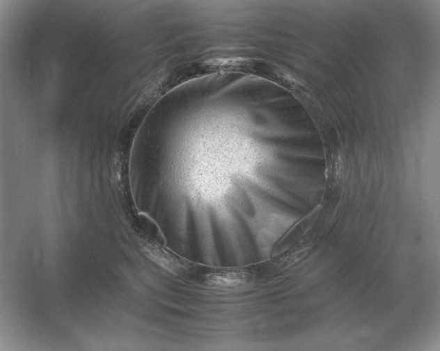 X0000053150567200507251845