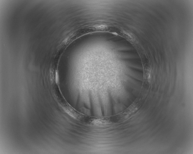 X0000053150568200507251845