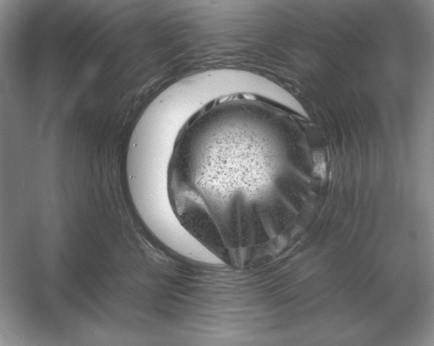 X0000053150570200507251845