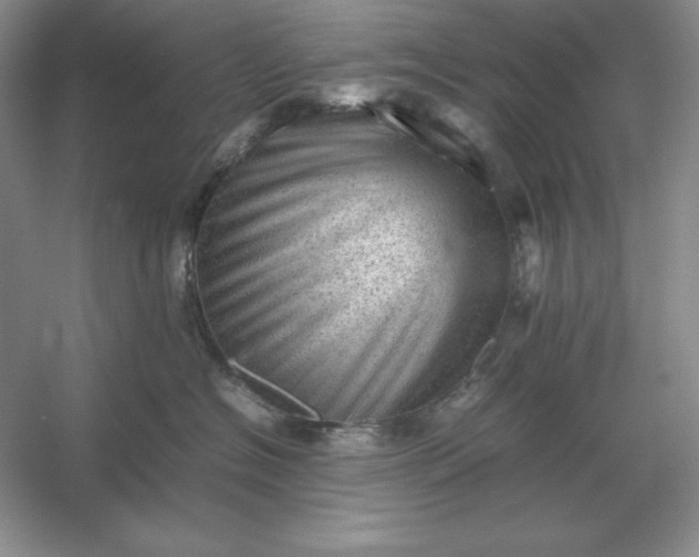 X0000053150574200507251845