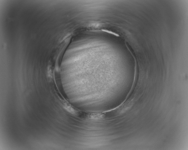 X0000053150576200507251845
