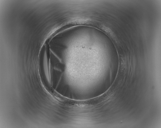 X0000053150582200507251844