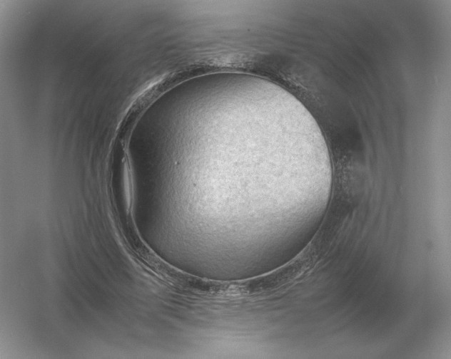 X0000053150587200507251844