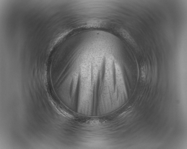 X0000053150588200507251844