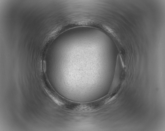 X0000053150589200507251844