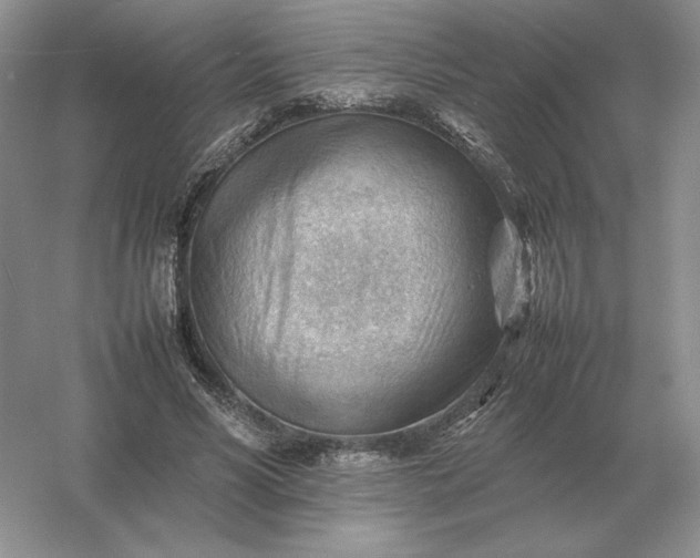 X0000053150590200507251844