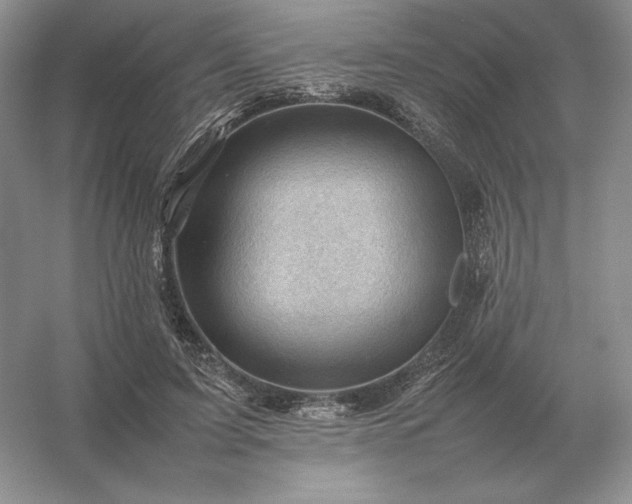 X0000053150595200507251844