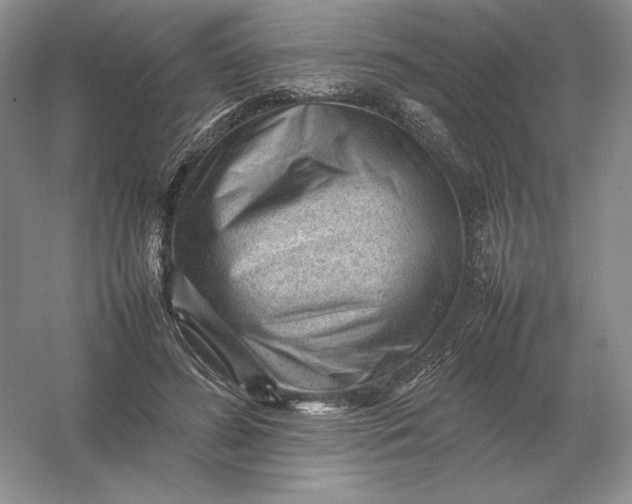 X0000053150596200507251844