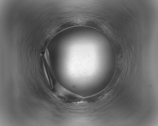 X0000053150597200507251844