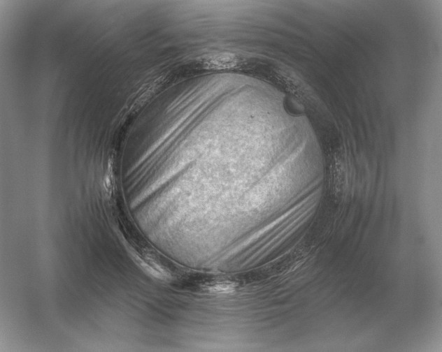 X0000053150598200507251844