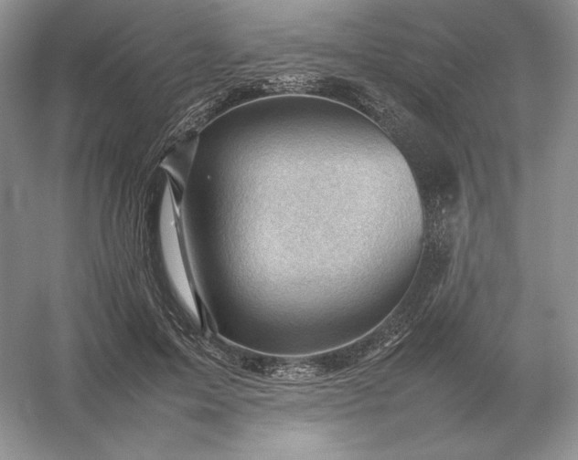 X0000053150599200507251844