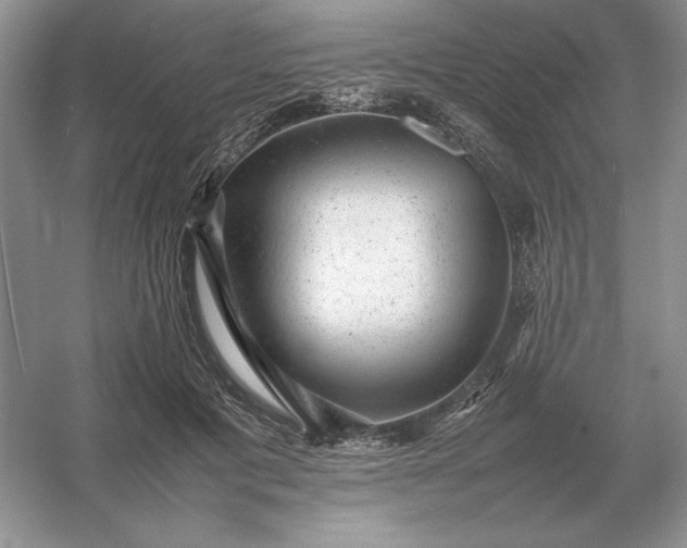 X0000053150601200507251843