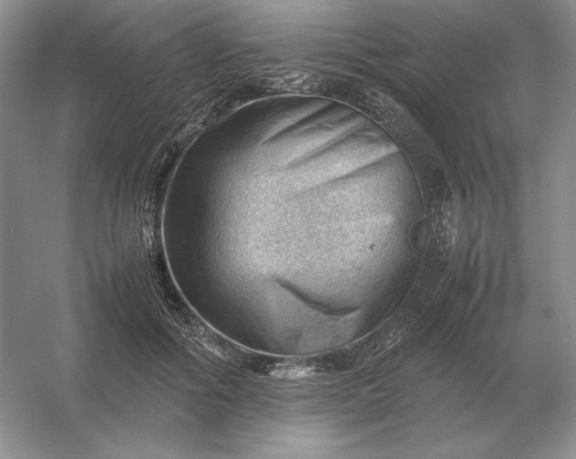 X0000053150602200507251843