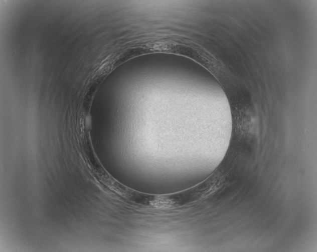 X0000053150603200507251843