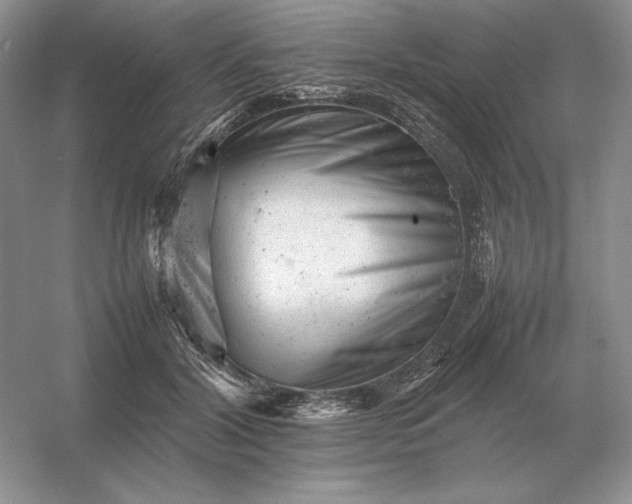 X0000053150604200507251843