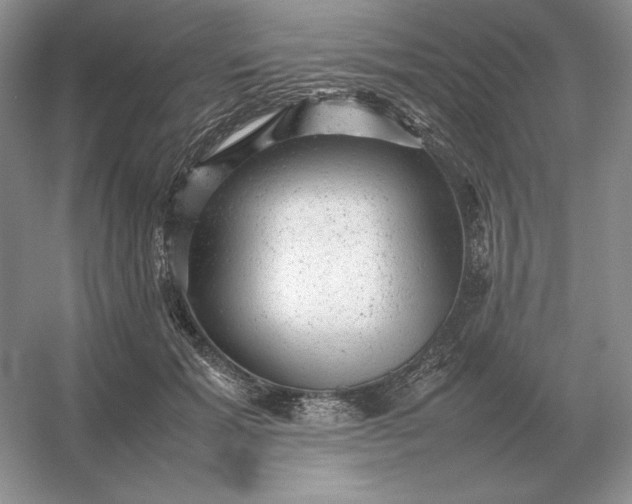 X0000053150605200507251843