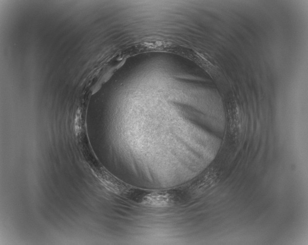 X0000053150606200507251843