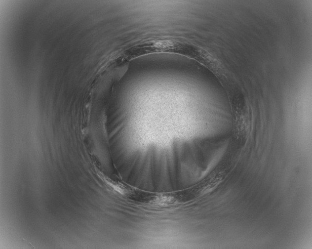 X0000053150609200507251843