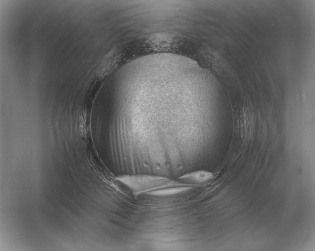 X0000053150610200507251843